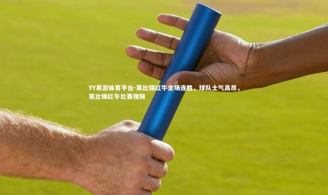 YY易游体育平台-莱比锡红牛主场连胜，球队士气高昂，莱比锡红牛比赛视频