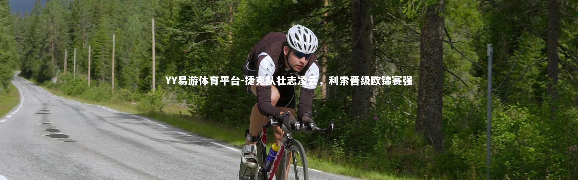 YY易游体育平台-捷克队壮志凌云，利索晋级欧锦赛强